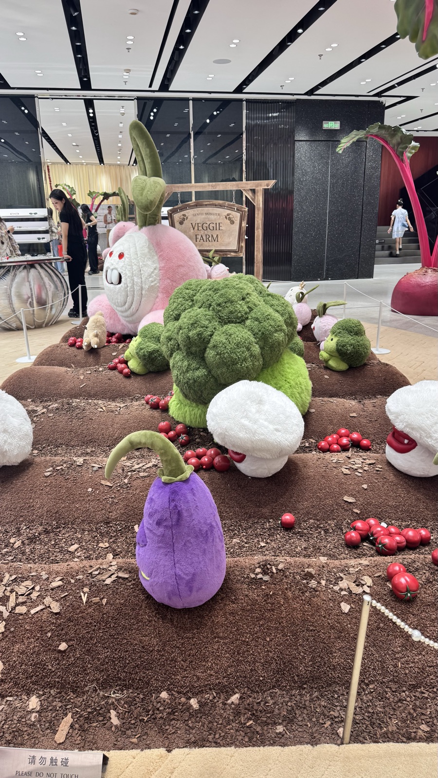 Gentle Monster Veggie Farm в SKP-S